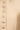 Beige satin sleeveless jacket